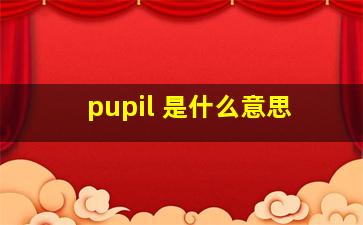 pupil 是什么意思